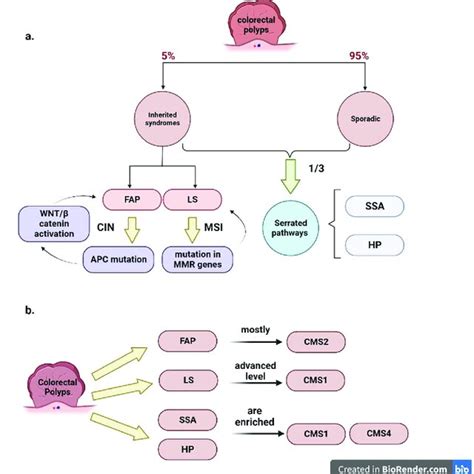 The Consensus Molecular Subtype Characteristics Download Scientific Diagram