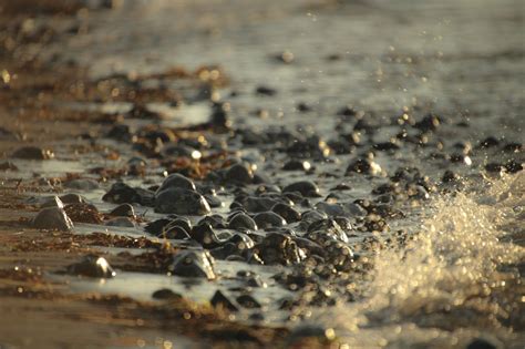 Wallpaper Sunlight Depth Of Field Water Rock Nature Sand