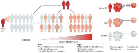 Creative Diagnostics On Linkedin M Tuberculosis Antibodies And