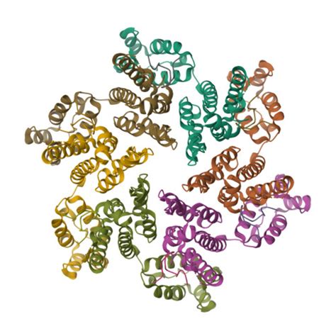 RCSB PDB 8CL1 HIV 1 Mature Capsid Hexamer From CA IP6 CLPs Bound To