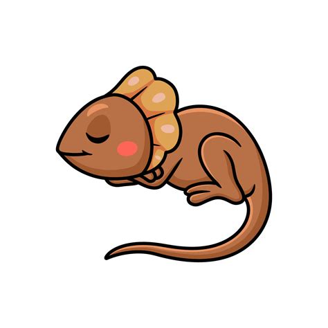 Cute Little Frilled Lizard Cartoon Sleeping 13548385 Vector Art At Vecteezy