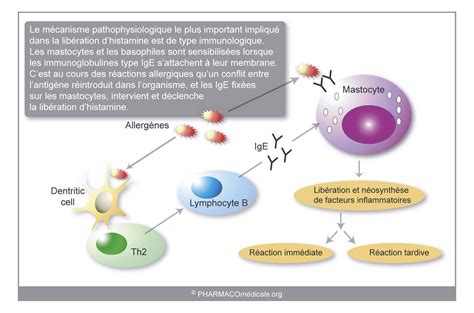 réaction inflammatoire def