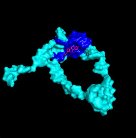 Secondary Aptamer Structure Is Shown With A Legend Indicating The