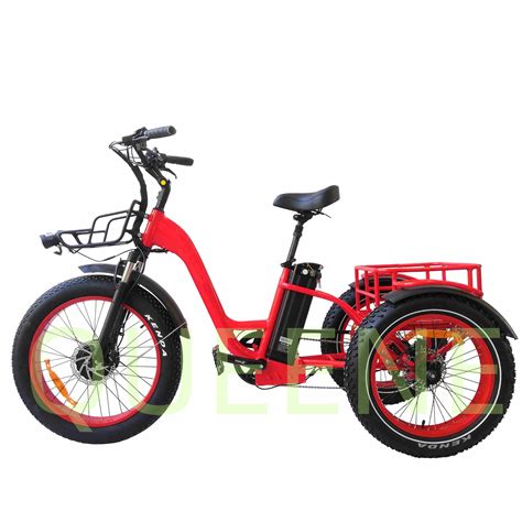 Queene W Powerful Bafang Front Motor Electric Tricycle Wheels E