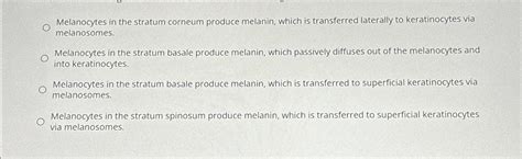 Solved Melanocytes In The Stratum Corneum Produce Melanin Chegg