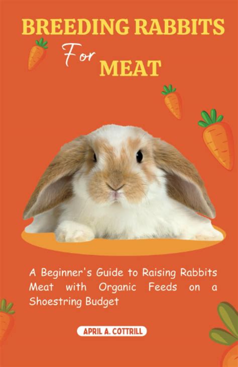 BREEDING RABBITS FOR MEAT A Beginner S Guide To Raising Rabbits Meat