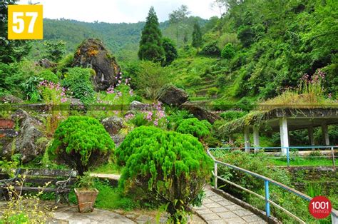 Rock Garden, Darjeeling