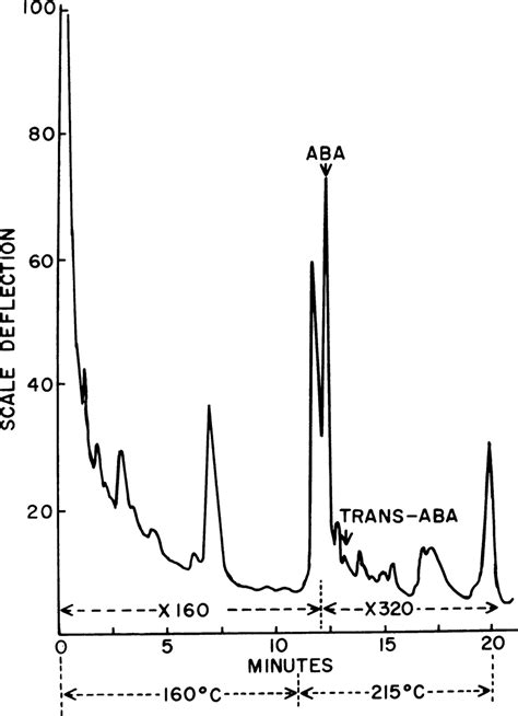 Chromatogram Obtained From Injection Of 1 Pj Of The Methylated Fraction Download Scientific