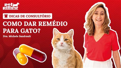 Como dar remédio para gato Dicas de Consultório 10 Dra Michele