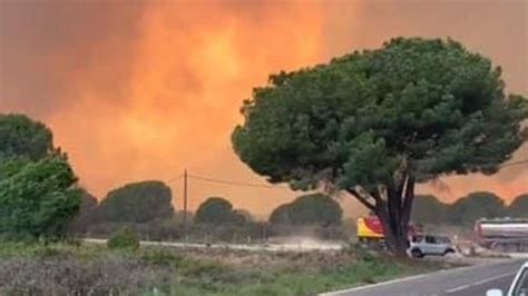 Pyrénées Orientales Un feu ravage 500 ha un camping et plusieurs