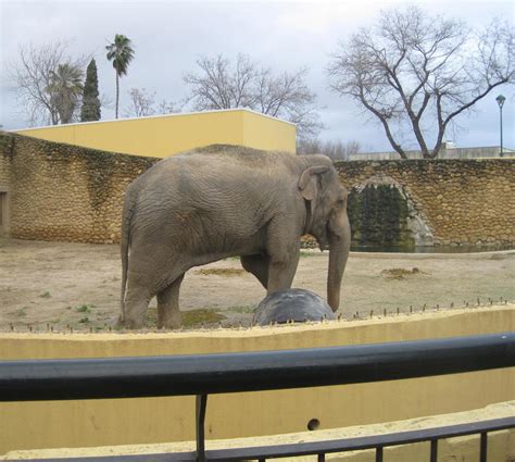 Córdoba Zoo In Córdoba 6 Reviews And 16 Photos