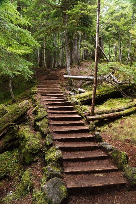 This one easy hike in oregon will lead you to two hidden waterfalls ...