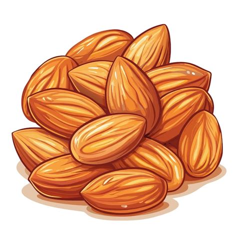 Almonds Nuts Organic Food Vector Illustration Premium Ai Generated Vector