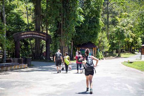 Khao Sok National Park Bang Hua Rat Nature Trail Khao Lak Land