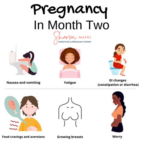 Pregnancy In Month Two Pregnancy Facts Pregnancy Months Pregnancy Info