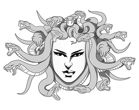 1100 Mito De Medusa Ilustraciones De Stock Gráficos Vectoriales Libres De Derechos Y Clip Art