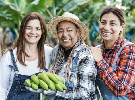 1,200+ Banana Plantation Workers Stock Photos, Pictures & Royalty-Free Images - iStock