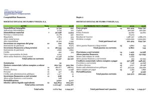 Solucio Comptabilitat Financera Exercici L Iva En Les Operacions