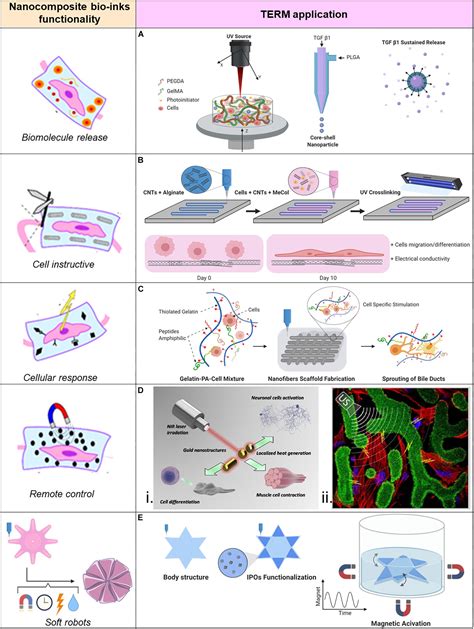 Frontiers Bio Fabrication Convergence Of D Bioprinting And Nano