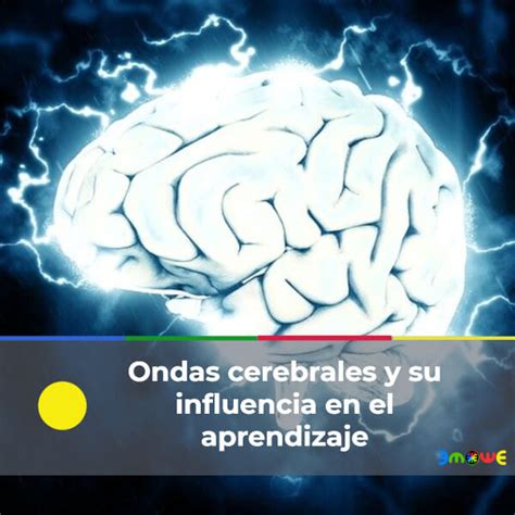 Ondas Cerebrales Y Su Influencia En El Aprendizaje Emowe Aprendizaje