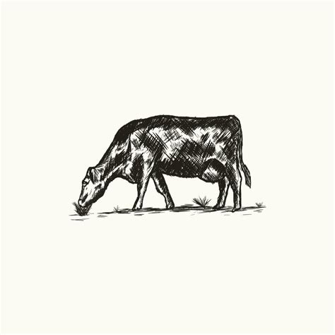 Vintage Hand Drawn Silhouette Illustration Of A Cow Eating Grass Grunge Vector 22710740 Vector