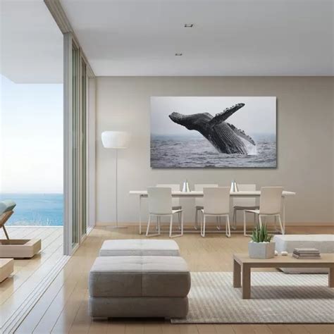 Ballena Los Cabos Xl Lienzo Canvas Cuadro Decorativo Meses Sin Inter S