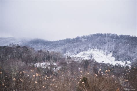 Winter Wedding In Boone Nc