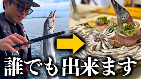 太刀魚の姿造り！初心者でも簡単に挑戦できる刺身と天ぷらのレシピ【刺身 タチウオ】 Youtube