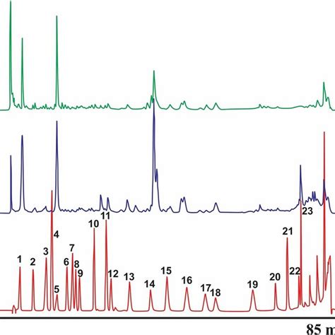 High Performance Liquid Chromatography Rp Hplc Dad Chromatograms Of