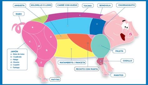 C Mo Identificar Los Cortes De Cerdo Supercampo