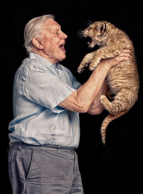 Sir David Attenborough met a lion.