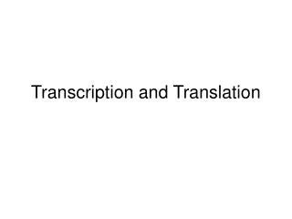 PPT - Transcription and Translation PowerPoint Presentation, free download - ID:4117058