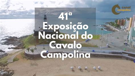 Em Breve A Exposi O Nacional Do Cavalo Campolina Youtube