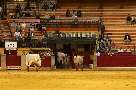 Fotos De La Primera Corrida De Toros De La Feria De San Jorge