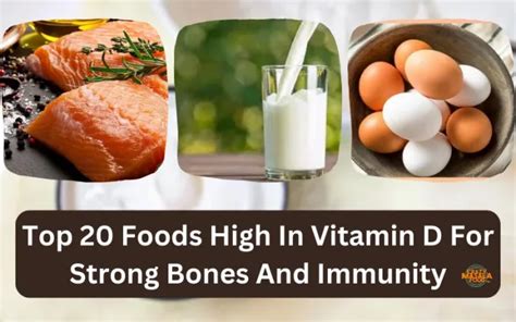 Top 20 Foods High In Vitamin D For Strong Bones And Immunity Crazy