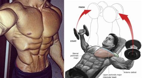 Chest Exercises To Pump Up Your Pecs Fitness Workouts And Exercises