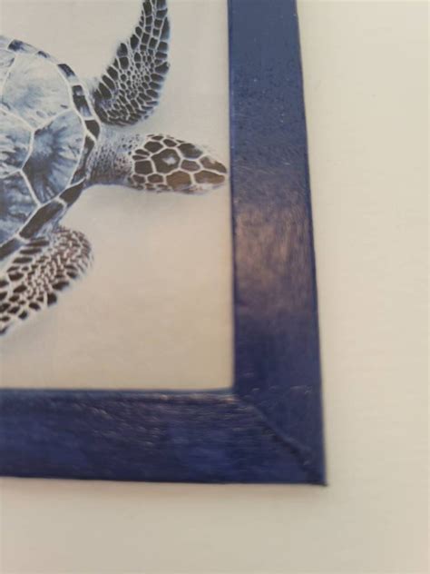 New Sea Turtle Framed Art Beach Ocean Turtle Etsy