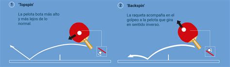 Tenis De Mesa Ping Pong Enciclopedia Deportiva Olimpiadas Tokio