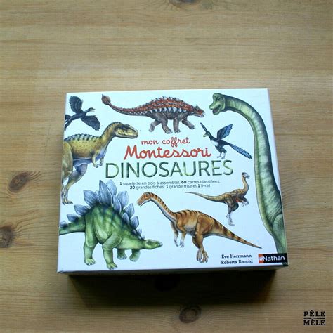 Mon Coffret Montessori Dinosaures Editions Nathan Pêle Mêle Online