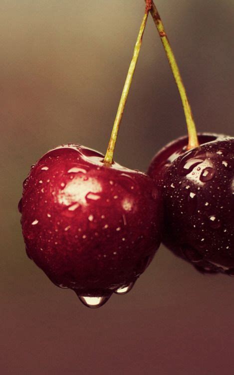 Cherry Fruit Wallpaper