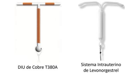 Principais Quest Es Sobre Diu De Cobre X Diu Hormonal Diferen As E