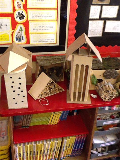 Mini Beast Hotel Edmondsley Primary School
