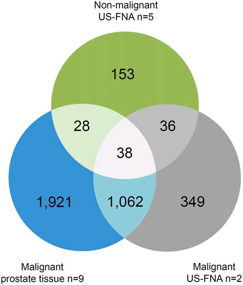 Venn Diagram Of Differentially Expressed Genes Degs In Different