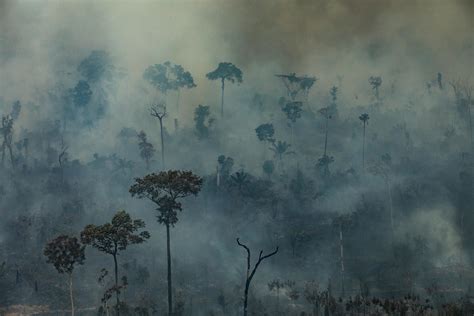 Incêndios na Amazônia e manifestações pró e contra governo fotos da semana