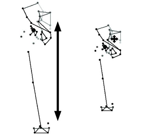 15 Sex Balanced Analysis Hip Pc1 Anterior View The Left Stick Figure Download Scientific