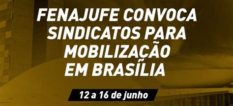 Fenajufe Convoca Sindicatos Para Mobiliza O Em Bras Lia Entre Os Dias