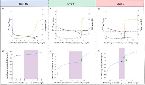 The Effect Of Variation In The Inhibitory To Inhibitory Connectivity