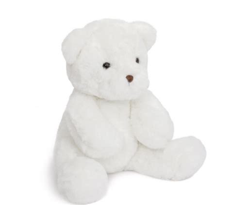 White Teddy Bear