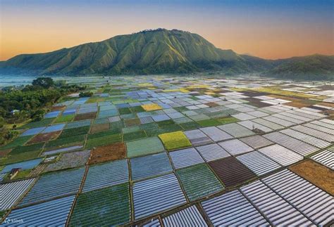 Discover Pergasingan Hill - Klook