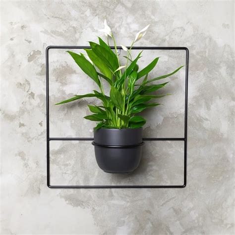 Kwietnik Cienny Czarny Pilea X Loft Industrialny Patihome